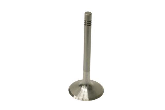 TRW Intake Valve - 3063