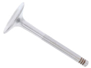 TRW Intake Valve - 92810540902
