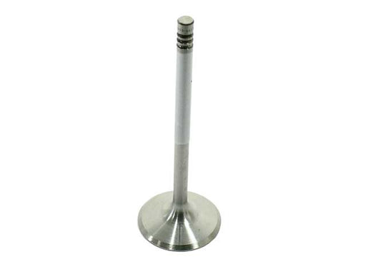 SM ENGINE PARTS Intake Valve - 92810564106