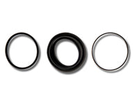 Porsche Disc Brake Caliper Rebuild Kit – Front 92835194100