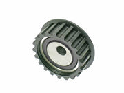 INA Tension Roller - 5310057100