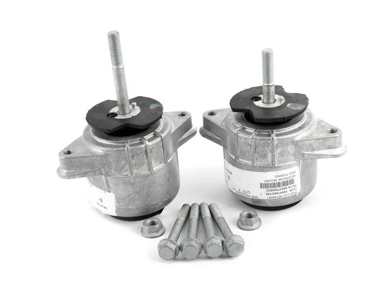 Panamera 3.0 / 3.6L V6 Engine Mount Kit