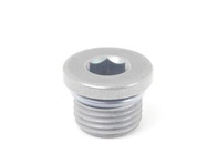 Genuine Porsche Differential Drain Plug 955 332 057 00