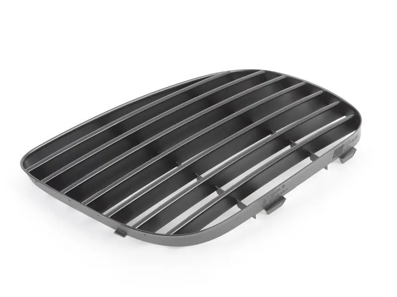 Grille Insert – Front Passenger Side