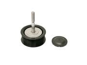 INA Drive Belt Idler Pulley - 5320792100