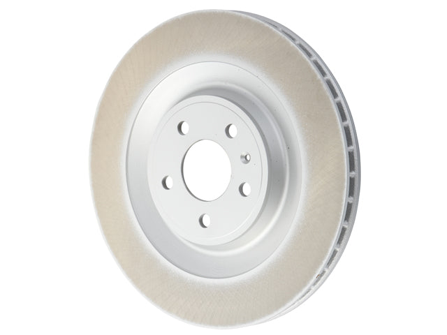 SHW PERFORMANCE Brake Disc - PRX39506