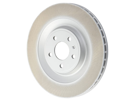 SHW PERFORMANCE Brake Disc - PRX39506