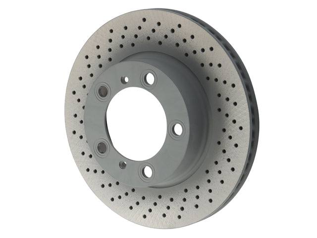 SHW PERFORMANCE Brake Disc - PFL39871