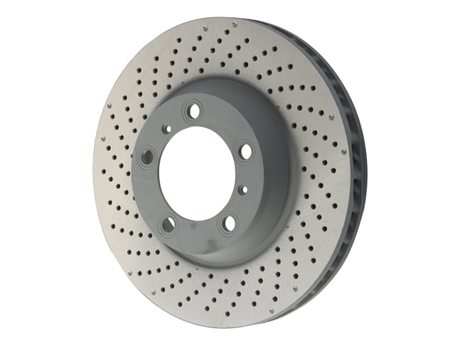 SHW PERFORMANCE Brake Disc - PFL39983
