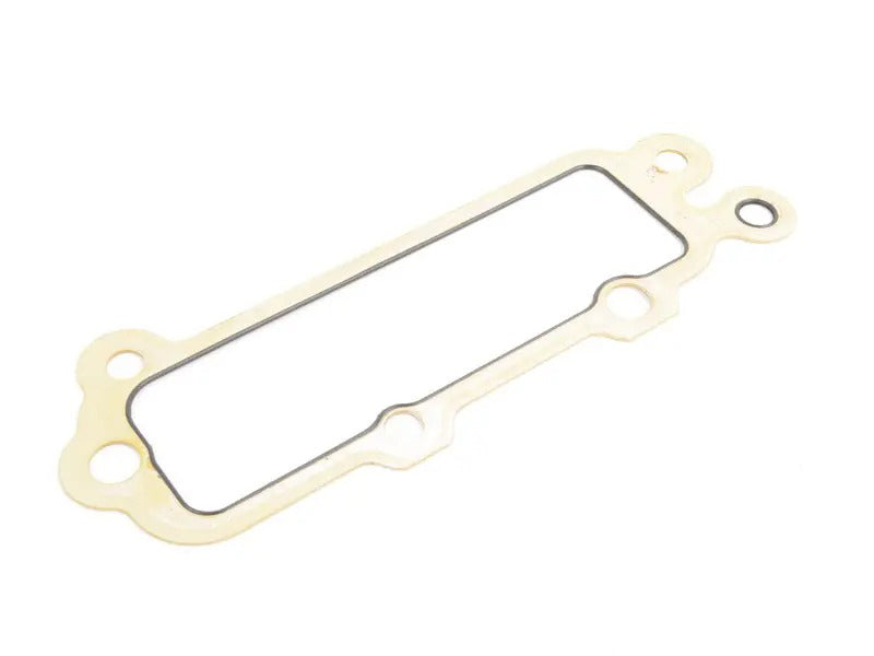 Timing Chain Case Gasket - Priced Each