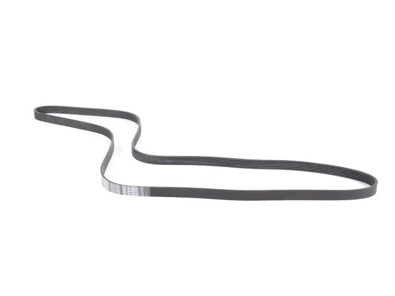 Accessory Belt (2115 MM)