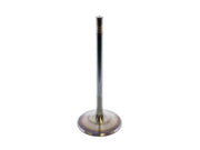 TRW Intake Valve - 300100