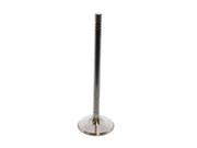 TRW Exhaust Valve - 300101