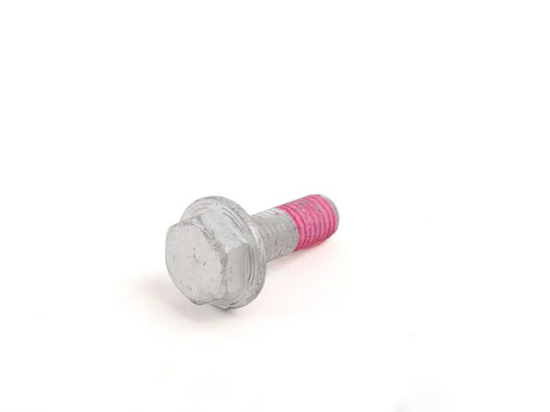 Tensioner Pulley Bolt