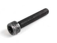 Caliper Mounting Bolt - Priced Each