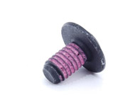 Torx Screw
