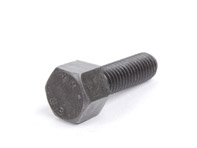 Exhaust Manifold Bolt