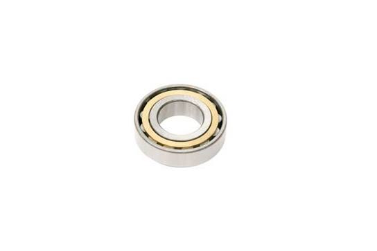Porsche Pinion Shaft Nose Bearing 99911019200