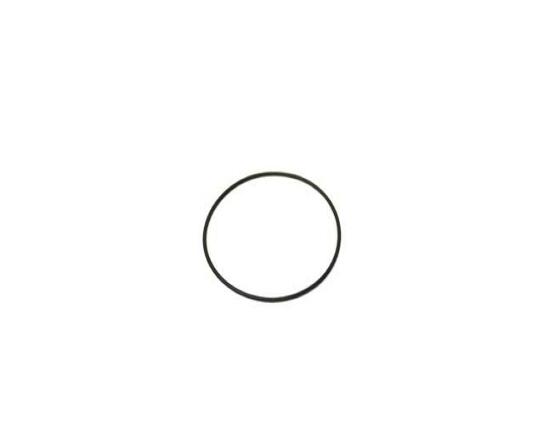 Engine Coolant Thermostat O-Ring