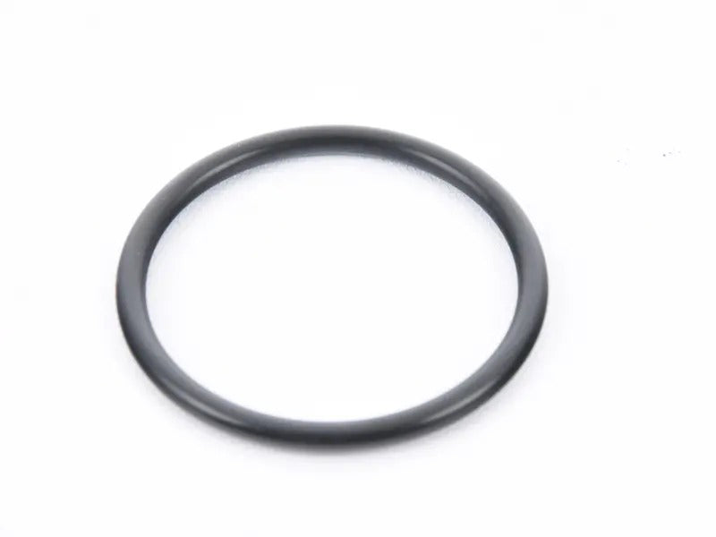 Thermostat O-Ring (60 X 3.5 Mm)