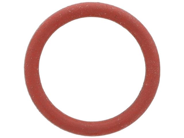 German Chain Tensioner O Ring 99970169040