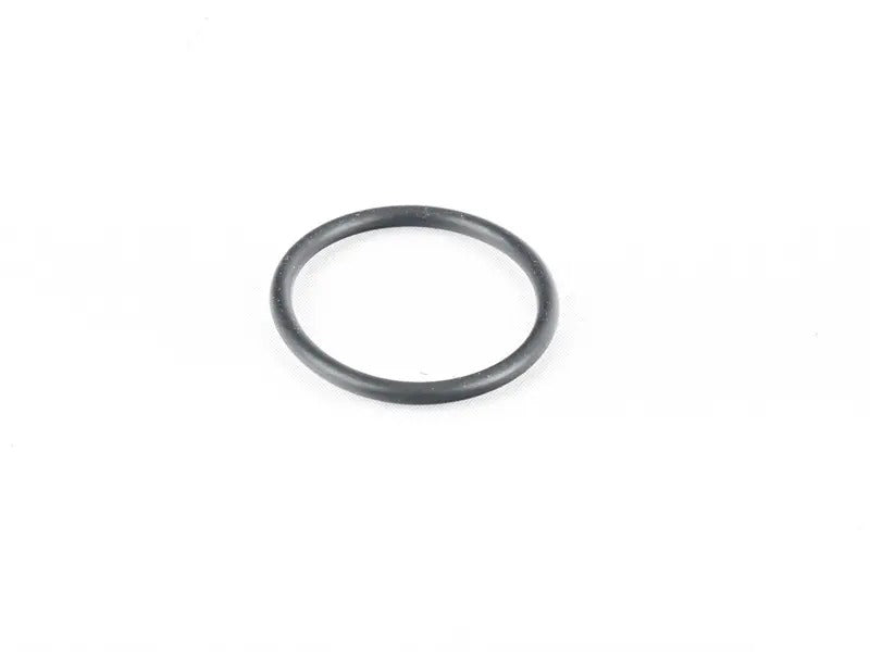 Fuel Tank Level Sensor O-Ring