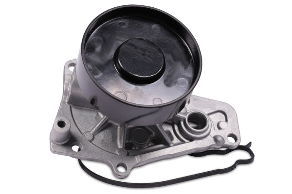 HEPU Water Pump - P442