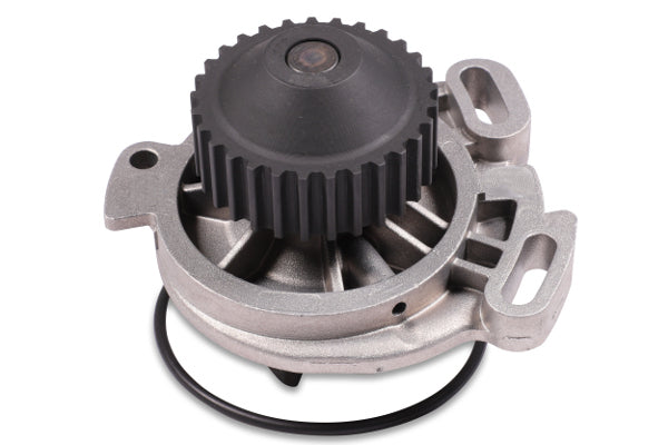 Hepu Water Pump P534