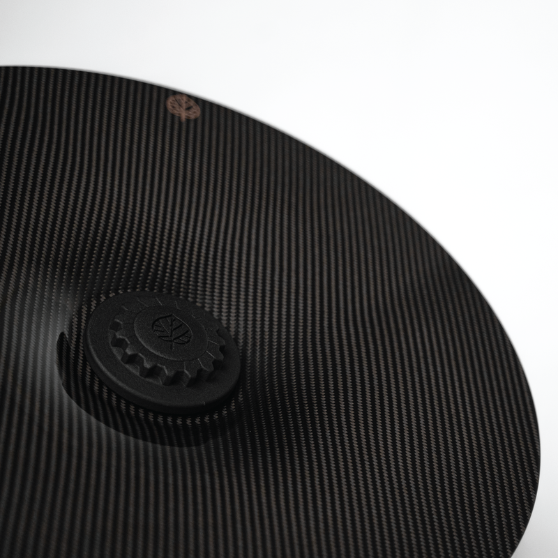 CARBON FIBER AERO DISCS [EVO] for Porsche Taycan - ALU wheels