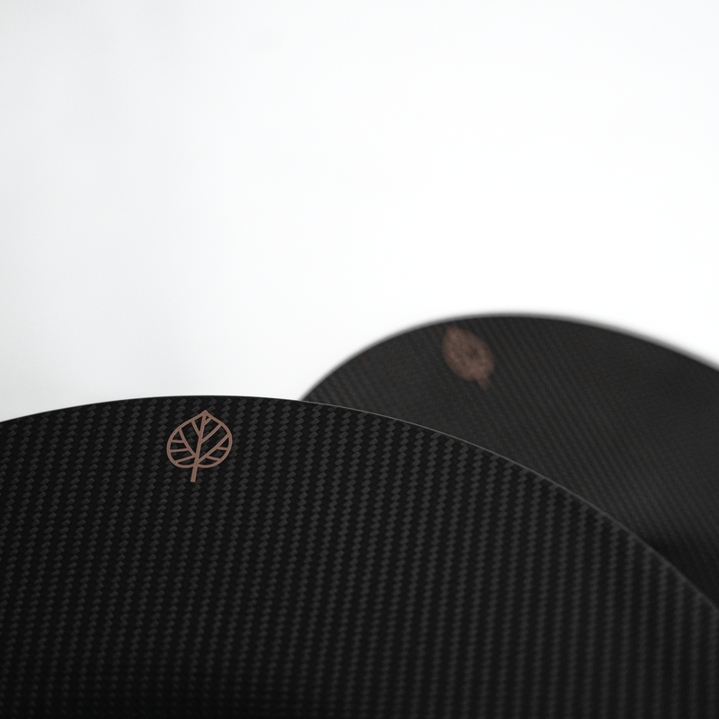 CARBON FIBER AERO DISCS [EVO] for Porsche Taycan - ALU wheels