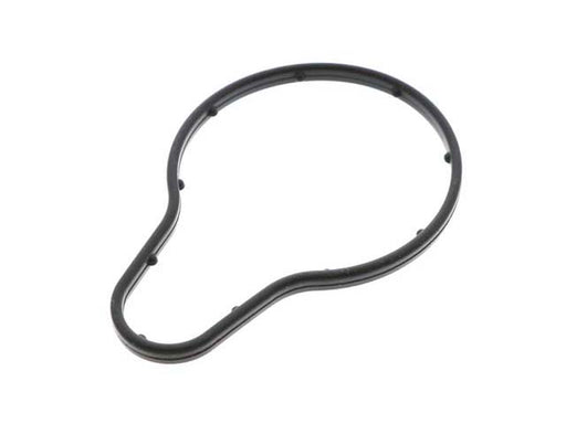Vacuum Pump Gasket