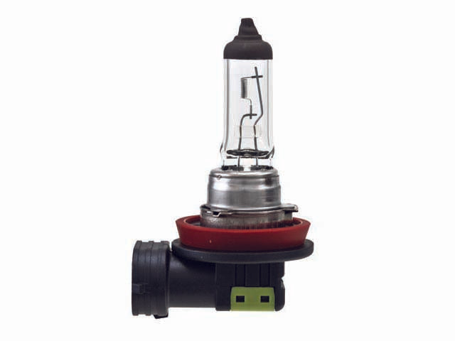 Bulb