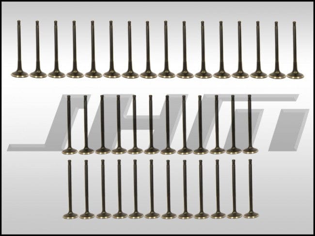 JHM - HD Valve Set (JHM), Intake and Exhaust, Heavy Duty, Coated for B6 - B7 S4, C6 A6 and C5 allroad w chain 4.2L 40v