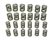 Valve Spring Set