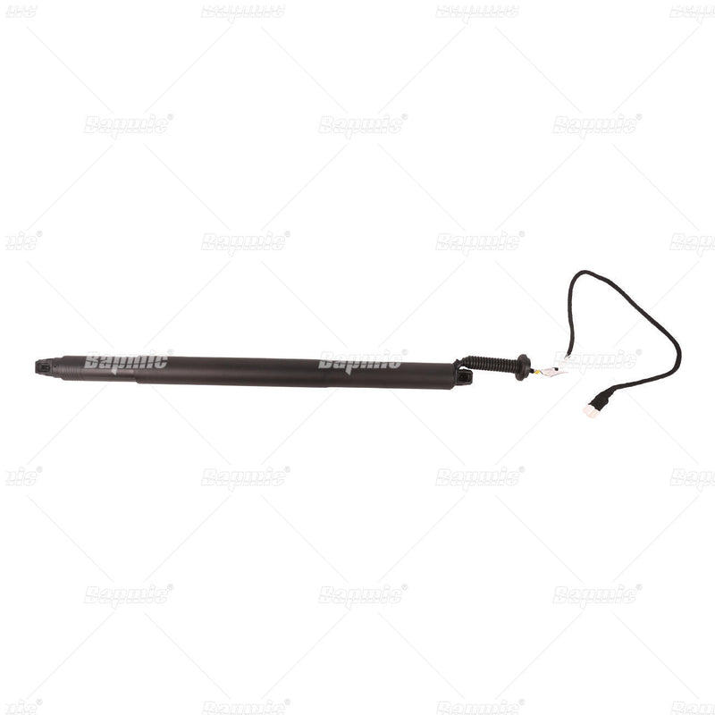 BAPMIC Hatch Shock - BF0113480113