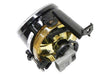 Fog Light