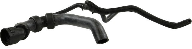 Rein Automotive Water Hose Chr0392