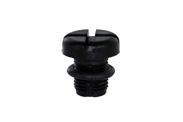 Rein Automotive Bleeder Screw Chw0575