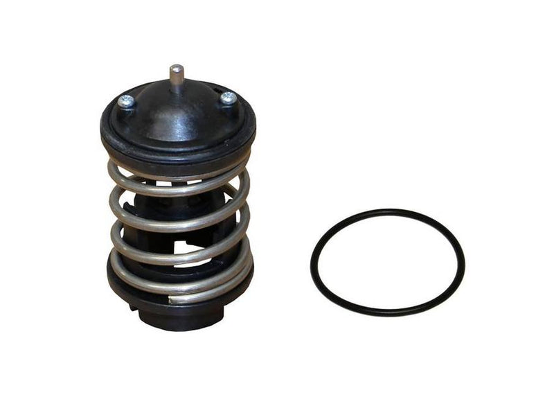 Rein Automotive Thermostat Ctn0025