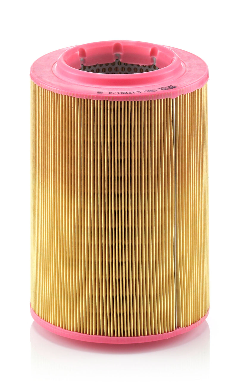 Mann Filter Air Filter C 17 201/3