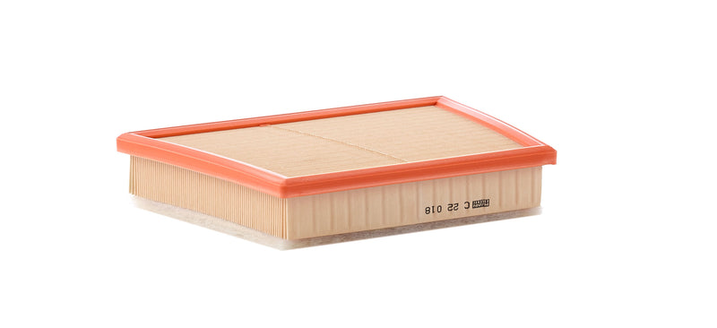 MANN FILTER Air Filter C 22 018