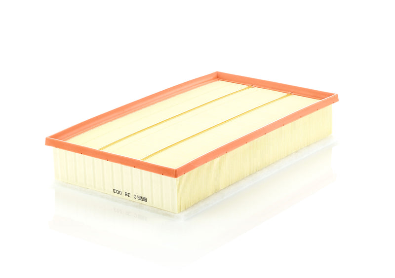 MANN FILTER Air Filter C 38 003