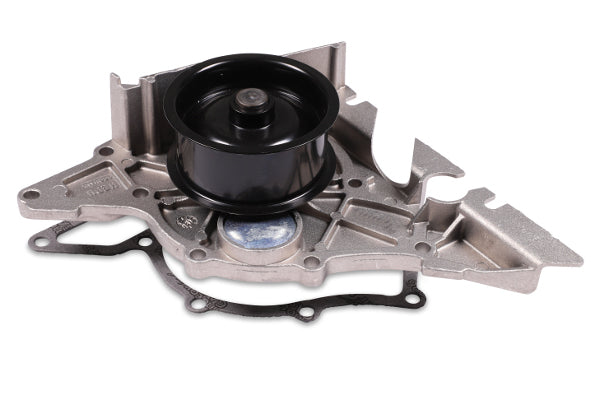 Hepu Water Pump P560