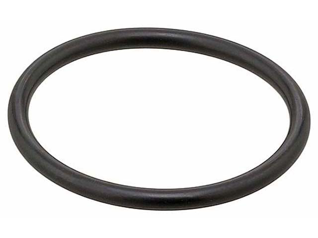 Thermostat Socket Seal