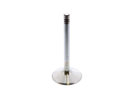 Intake Valve