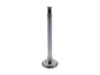Exhaust Valve