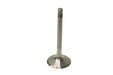 Intake Valve