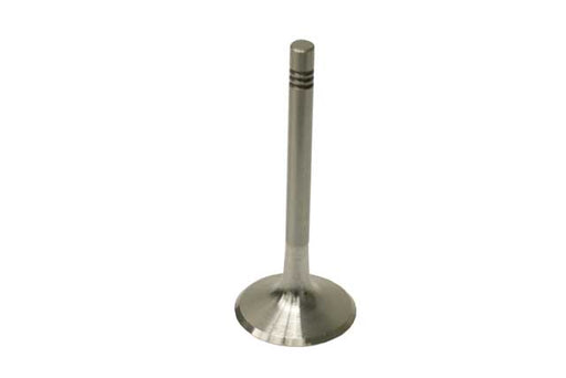Intake Valve