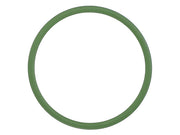 Fuel Pump Seal