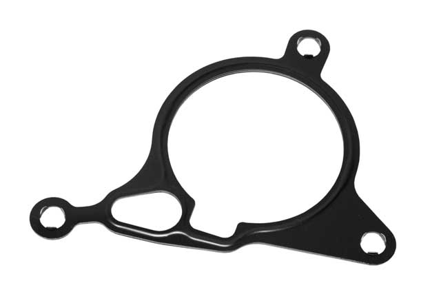 Vacuum Pump Gasket